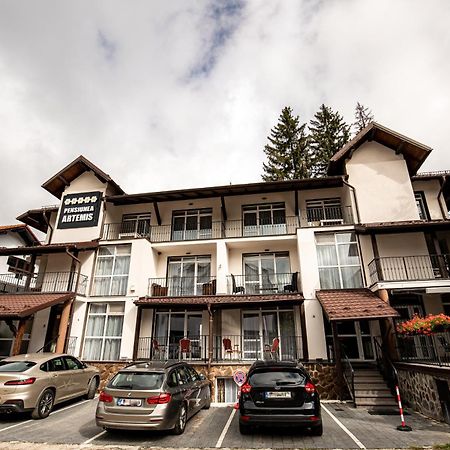 Artemis Villa Poiana Brasov Esterno foto