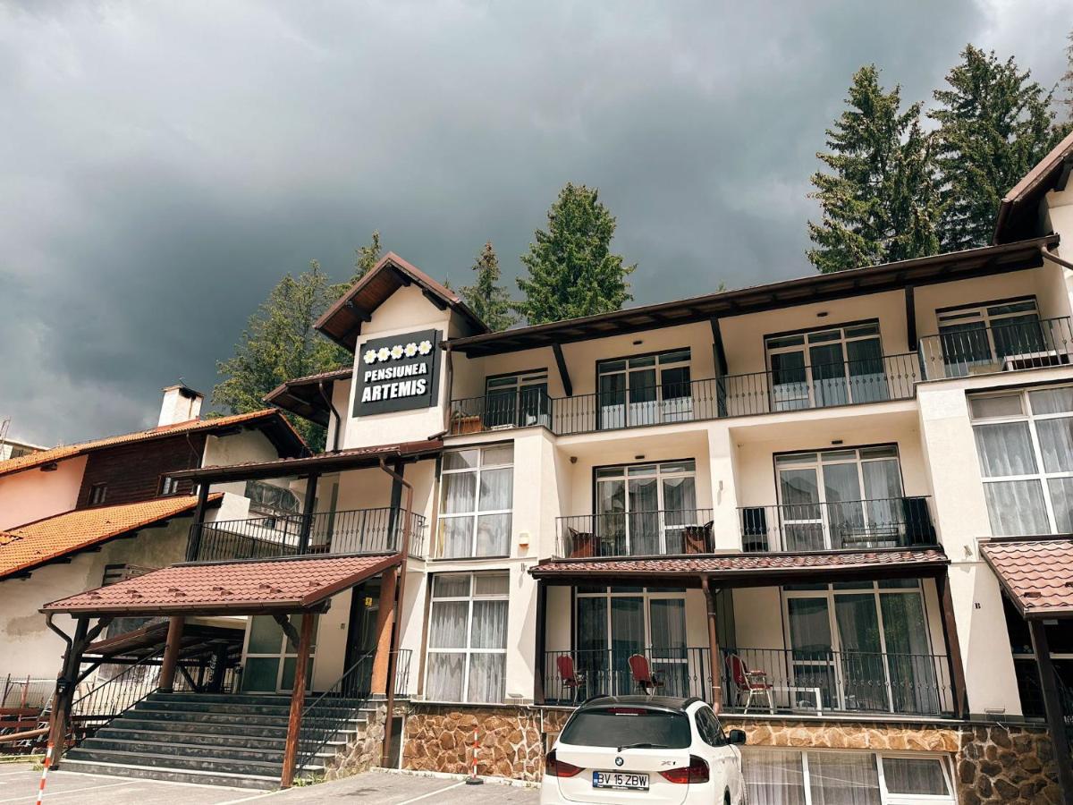 Artemis Villa Poiana Brasov Esterno foto