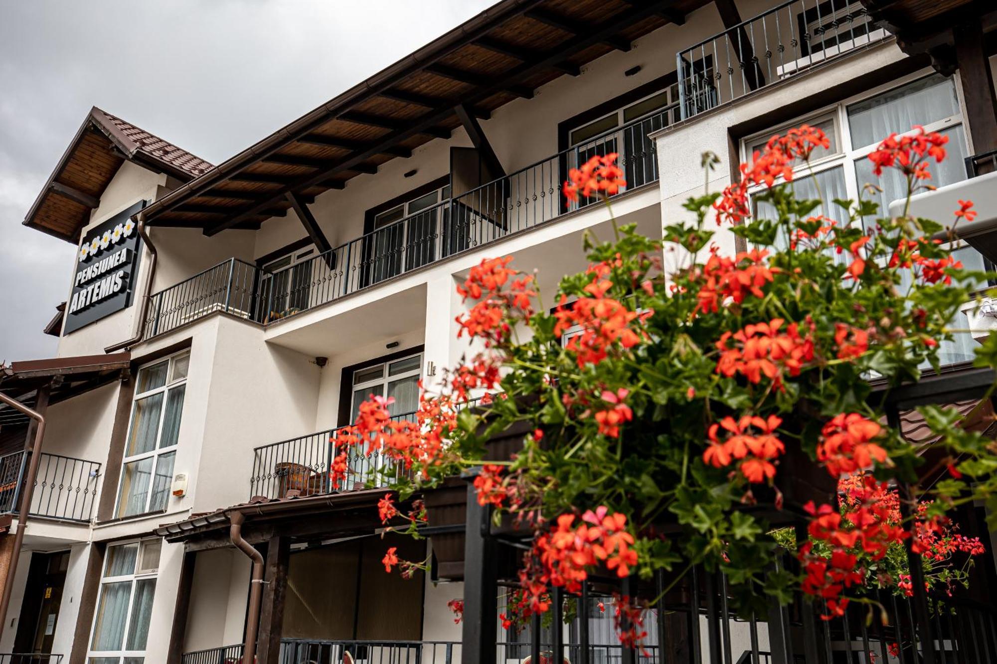 Artemis Villa Poiana Brasov Esterno foto