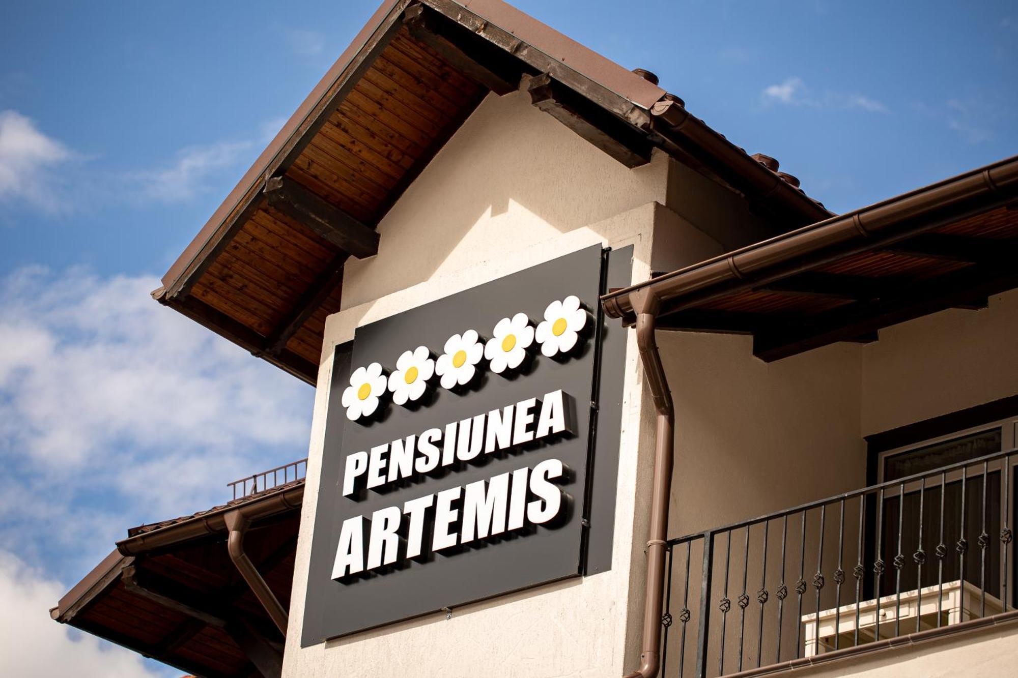 Artemis Villa Poiana Brasov Esterno foto
