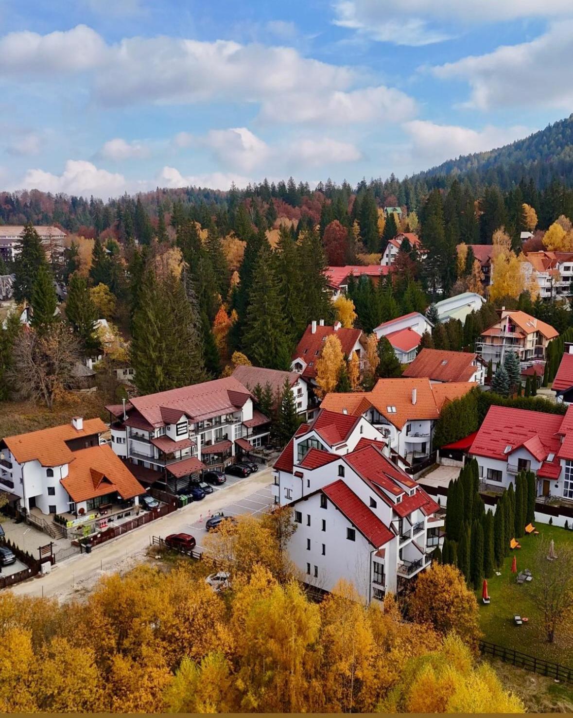 Artemis Villa Poiana Brasov Esterno foto